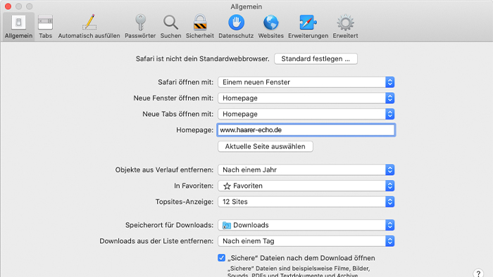 Haarer-Echo-als-Startseite-Safari-2