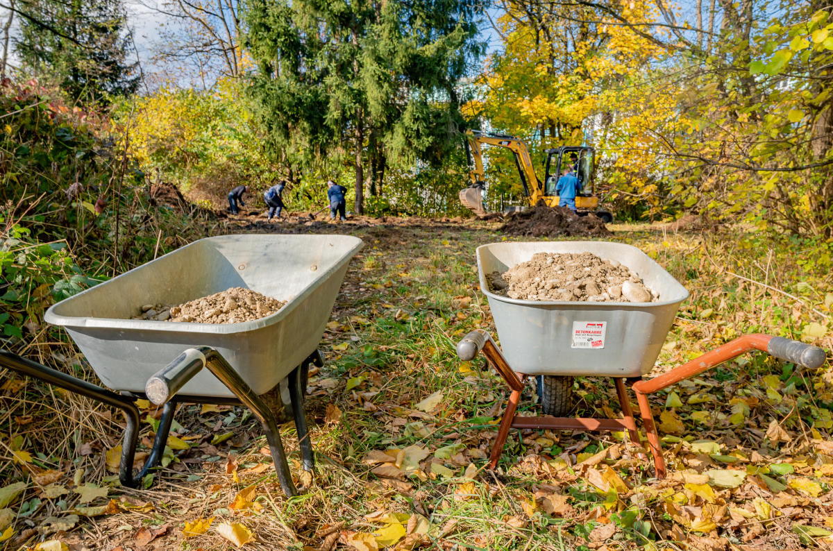 he-haar-parkwildnis-2022